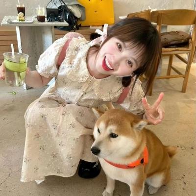 我亲爱的朋友们